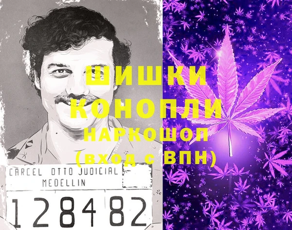шишки Алексин