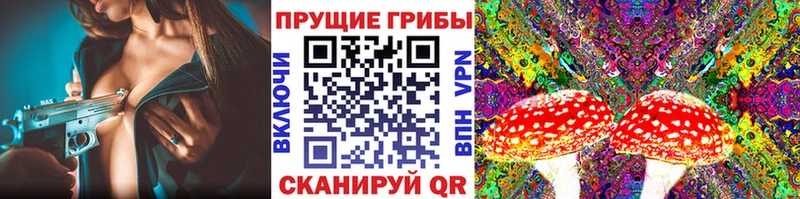 Псилоцибиновые грибы мицелий  купить наркотик  Нефтекамск 